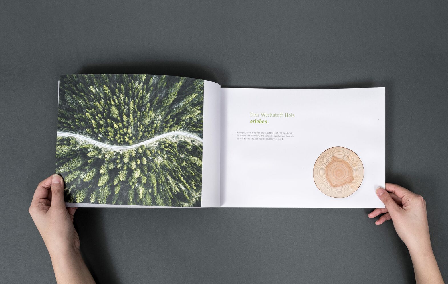 Broschüre – Printdesign für Lebensraum Holz