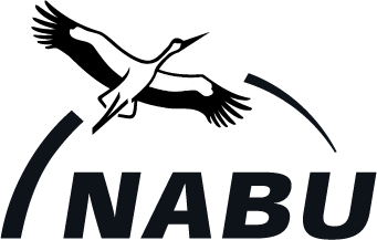 Nabu